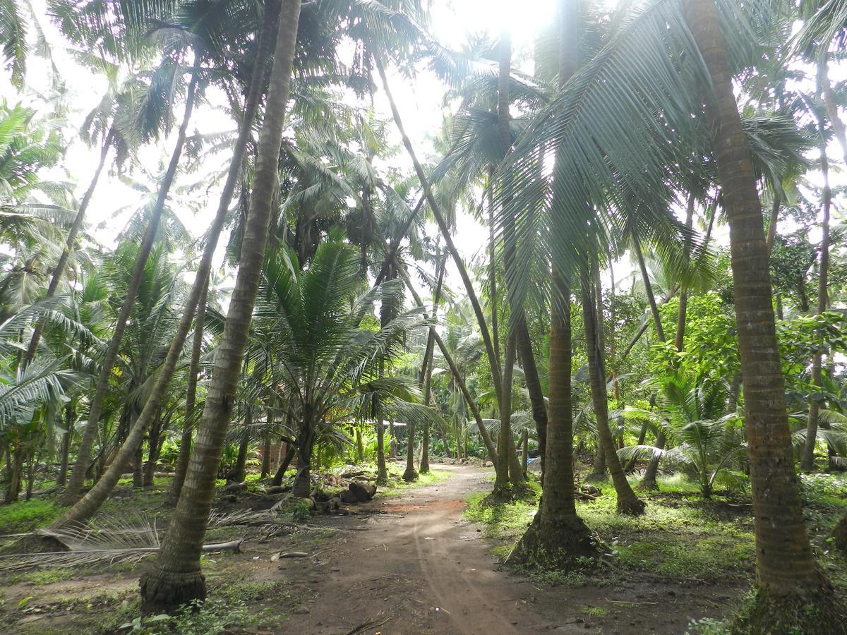 Bangli, The Finest Konkan Living Hotel Dāpoli Zewnętrze zdjęcie